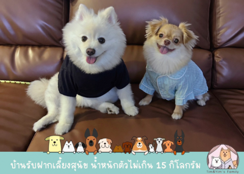 บ้านรับฝากเลี้ยงสุนัข pet hotel